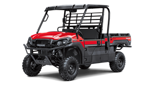 Mule